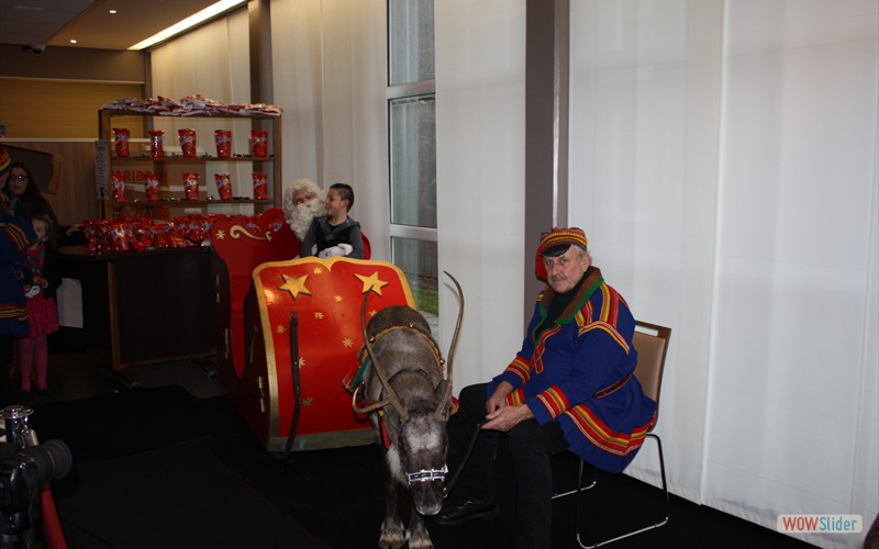 Le renne et ses lapons